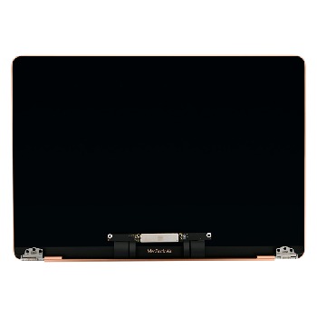 Thay màn hình MacBook Air 13 inch M1 2020