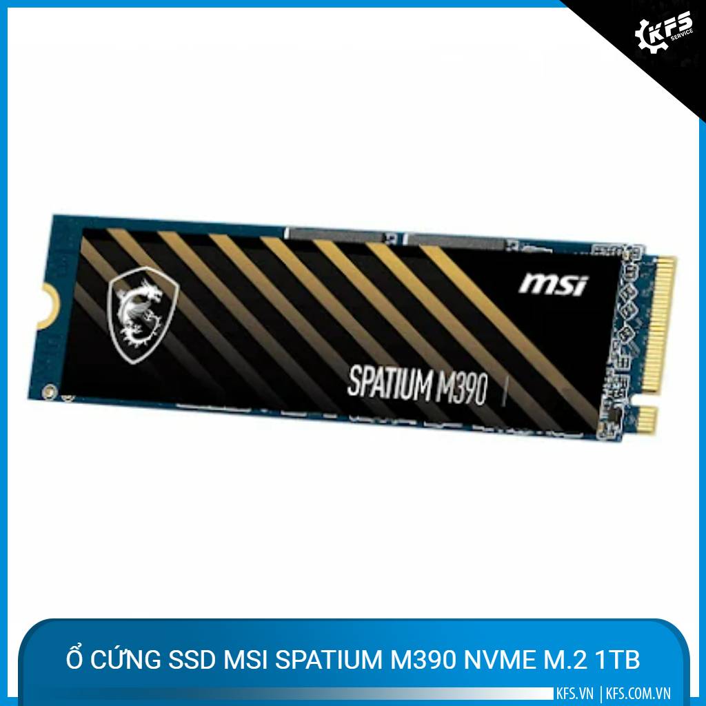 o-cung-ssd-msi-spatium-m390-nvme-m2-1tb (1)