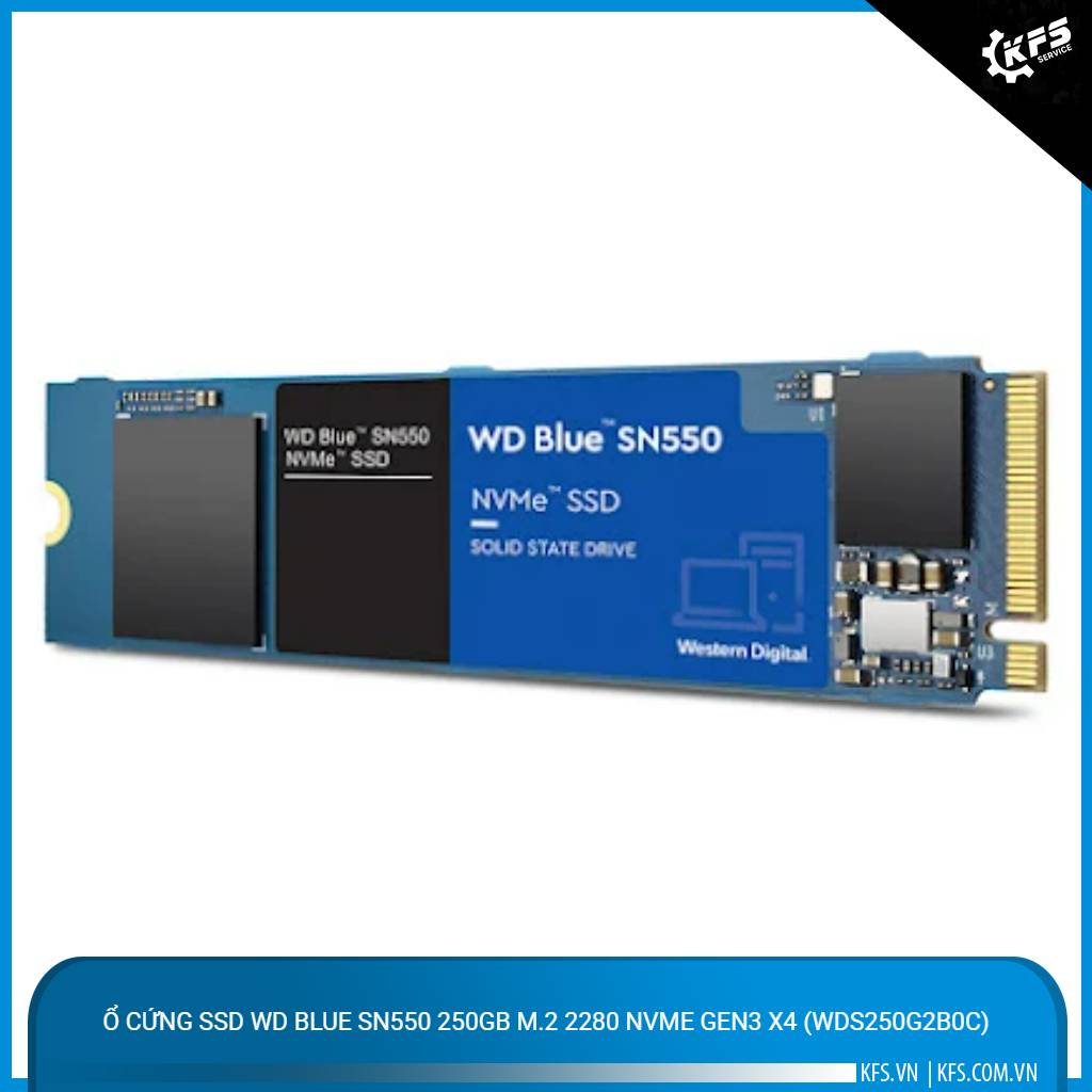 o-cung-ssd-wd-blue-sn550-250gb-m2-2280-nvme-gen3-x4-wds250g2b0c (1)