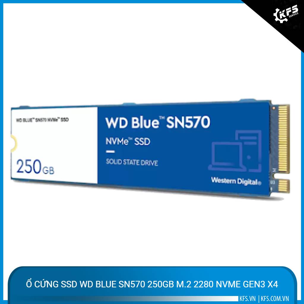 o-cung-ssd-wd-blue-sn570-250gb-m2-2280-nvme-gen3-x4 (1)