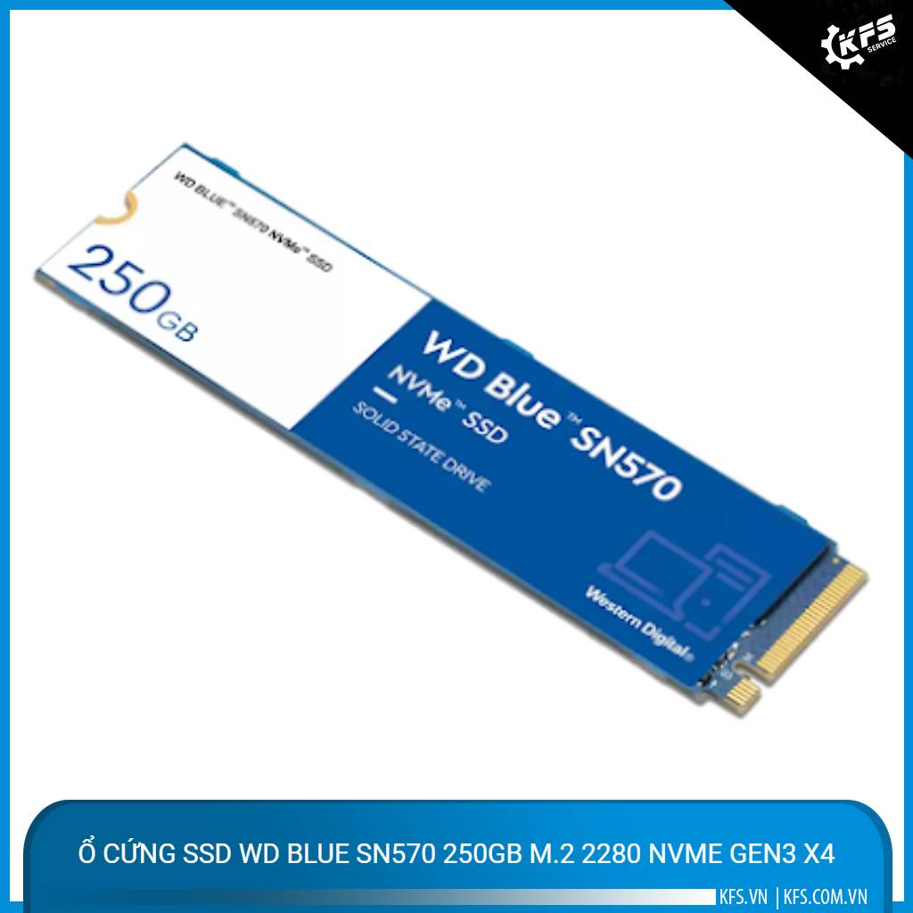 o-cung-ssd-wd-blue-sn570-250gb-m2-2280-nvme-gen3-x4 (2)