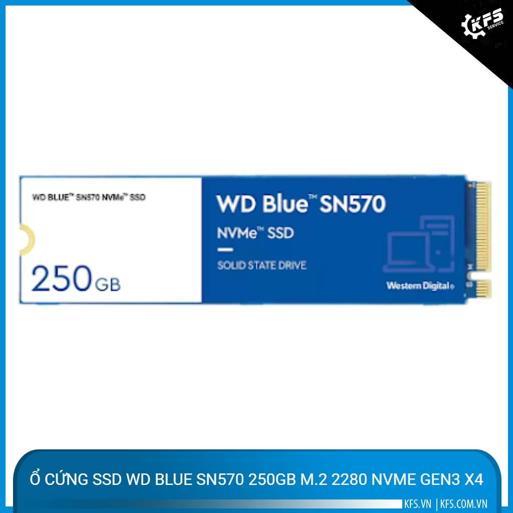 o-cung-ssd-wd-blue-sn570-250gb-m2-2280-nvme-gen3-x4