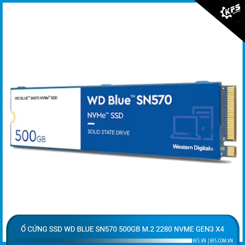 o-cung-ssd-wd-blue-sn570-500gb-m2-2280-nvme-gen3-x4 (1)