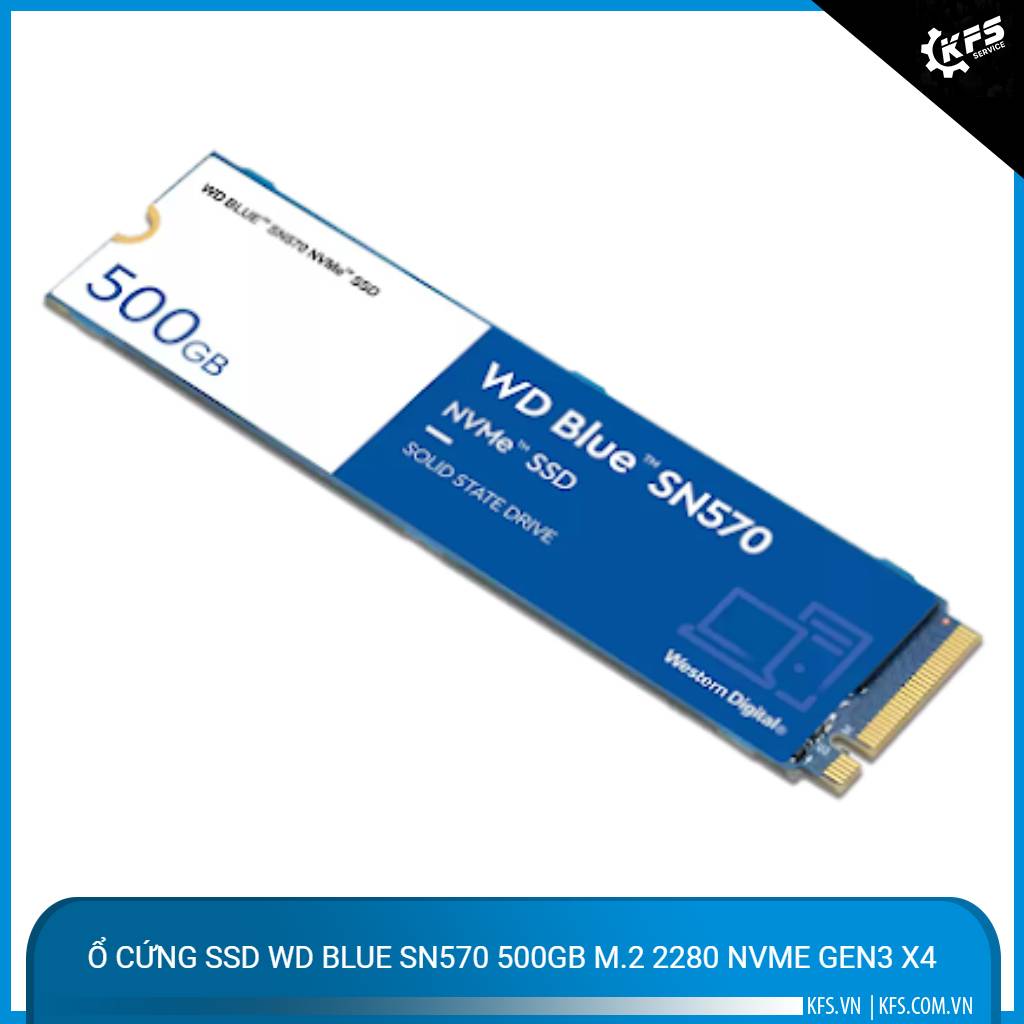 o-cung-ssd-wd-blue-sn570-500gb-m2-2280-nvme-gen3-x4 (2)