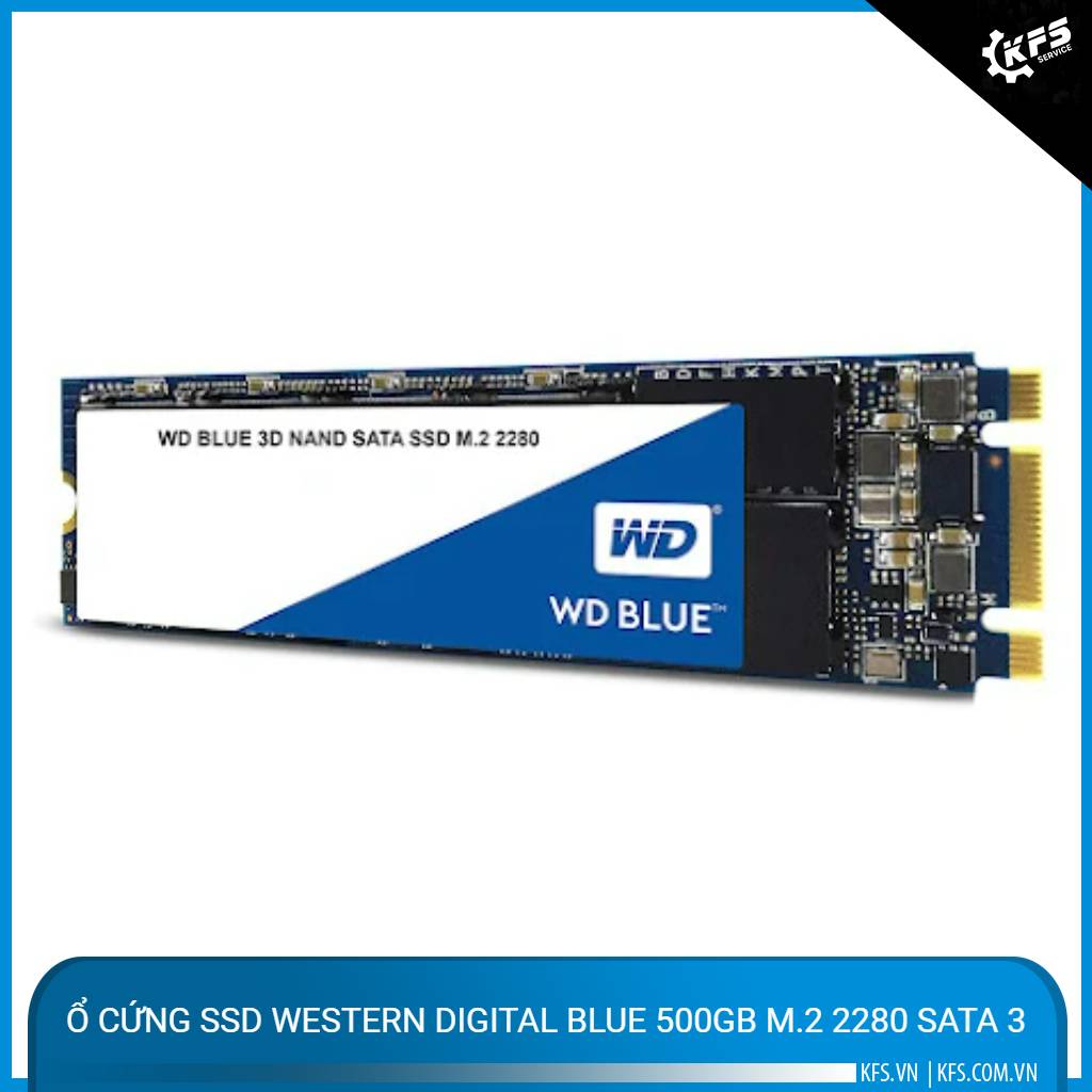 o-cung-ssd-western-digital-blue-500gb-m2-2280-sata-3 (1)