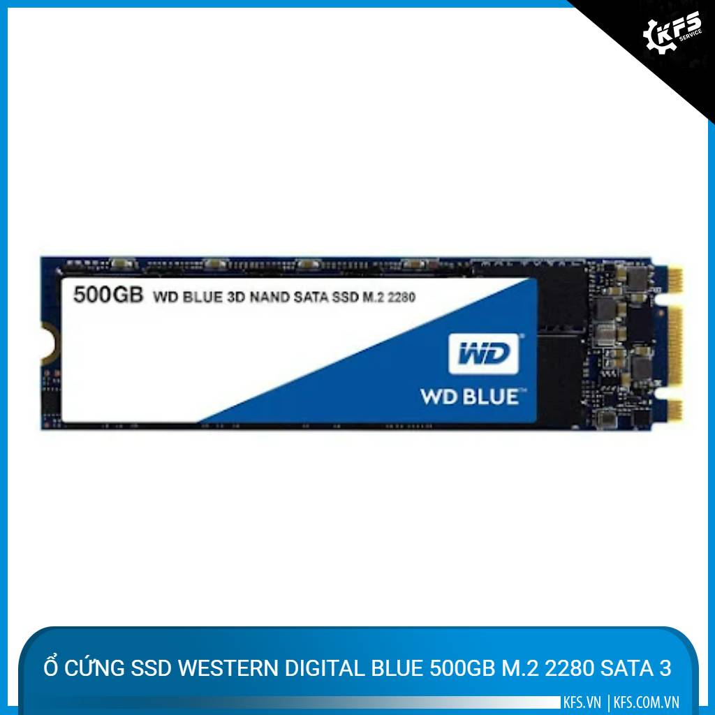 o-cung-ssd-western-digital-blue-500gb-m2-2280-sata-3