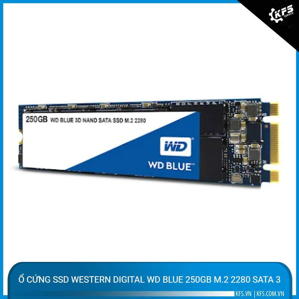 o-cung-ssd-western-digital-wd-blue-250gb-m2-2280-sata-3 (1)