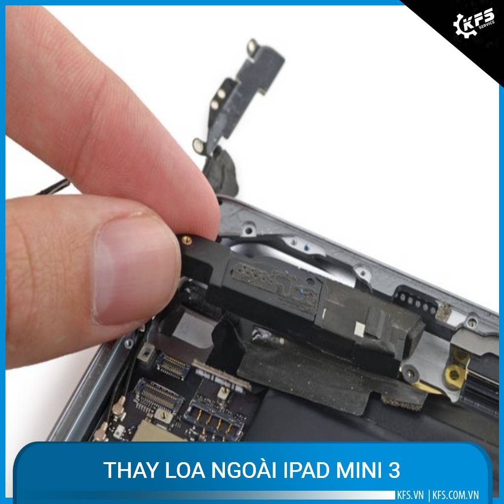 thay-loa-ngoai-ipad-mini-3 (1)