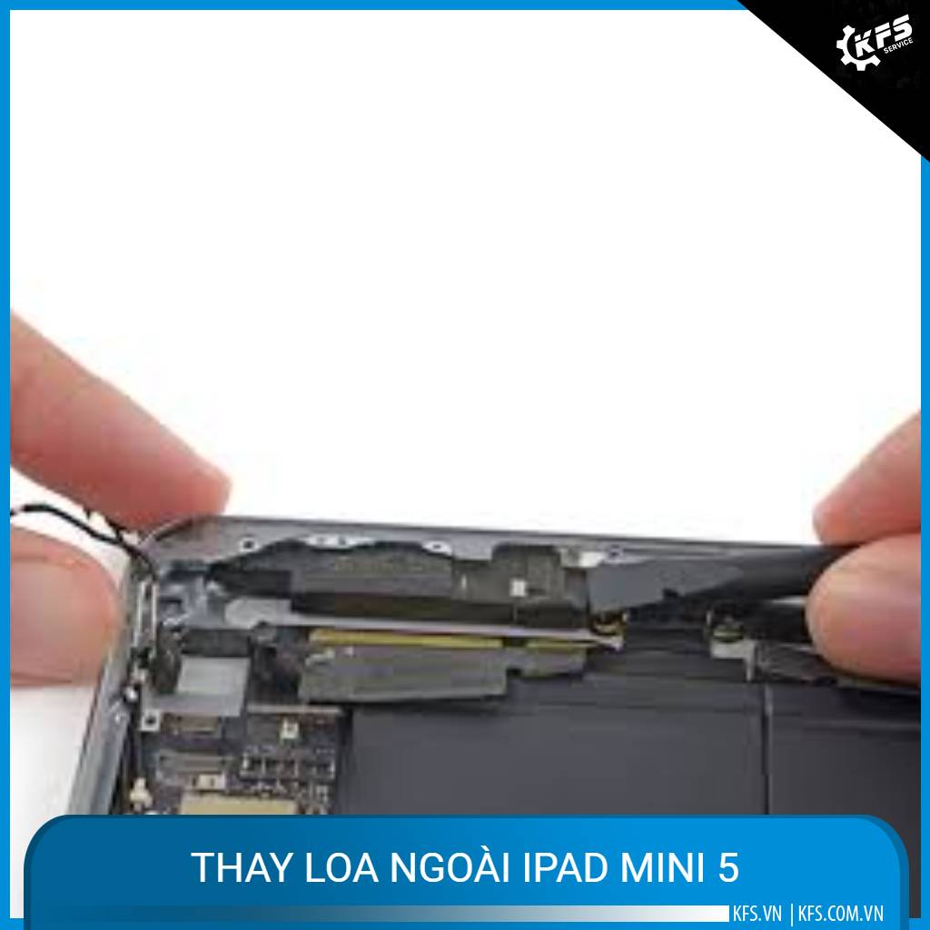 thay-loa-ngoai-ipad-mini-5 (1)