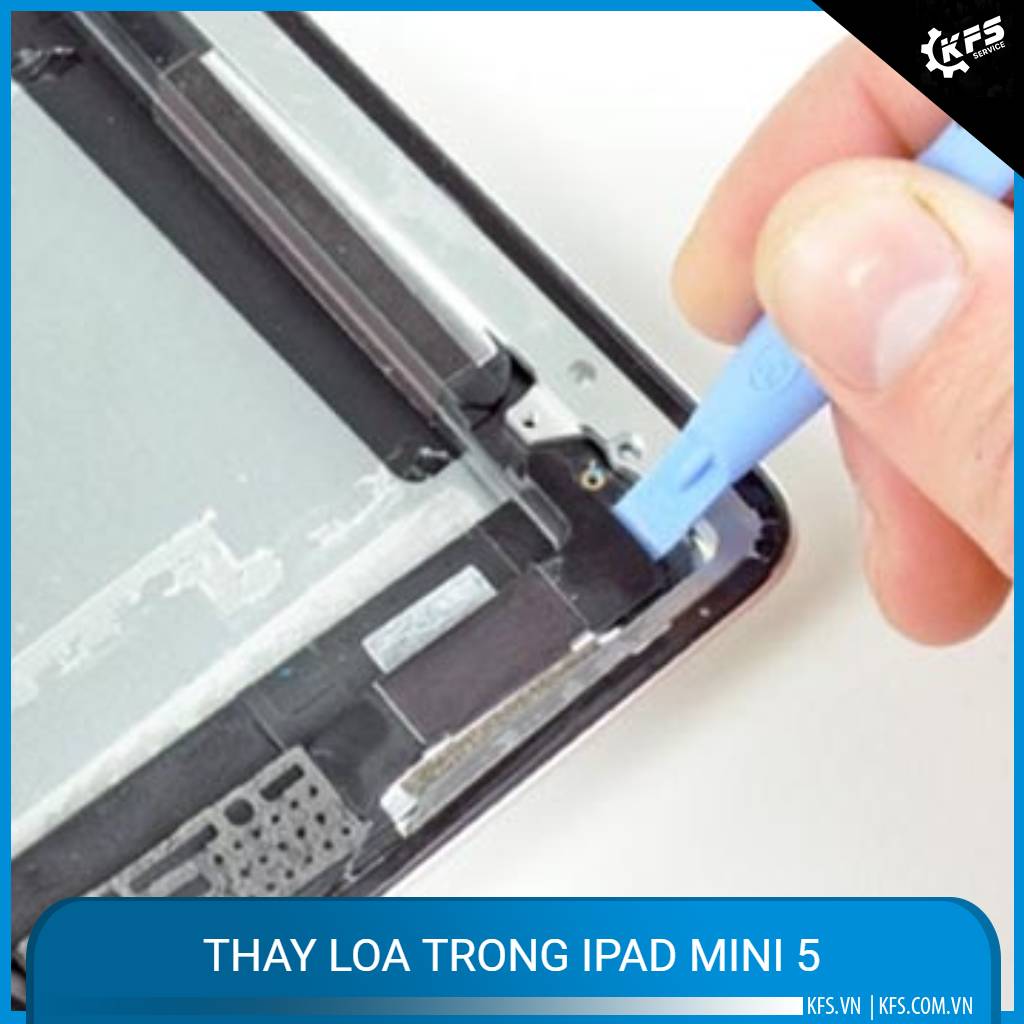 thay-loa-trong-ipad-mini-5 (1)